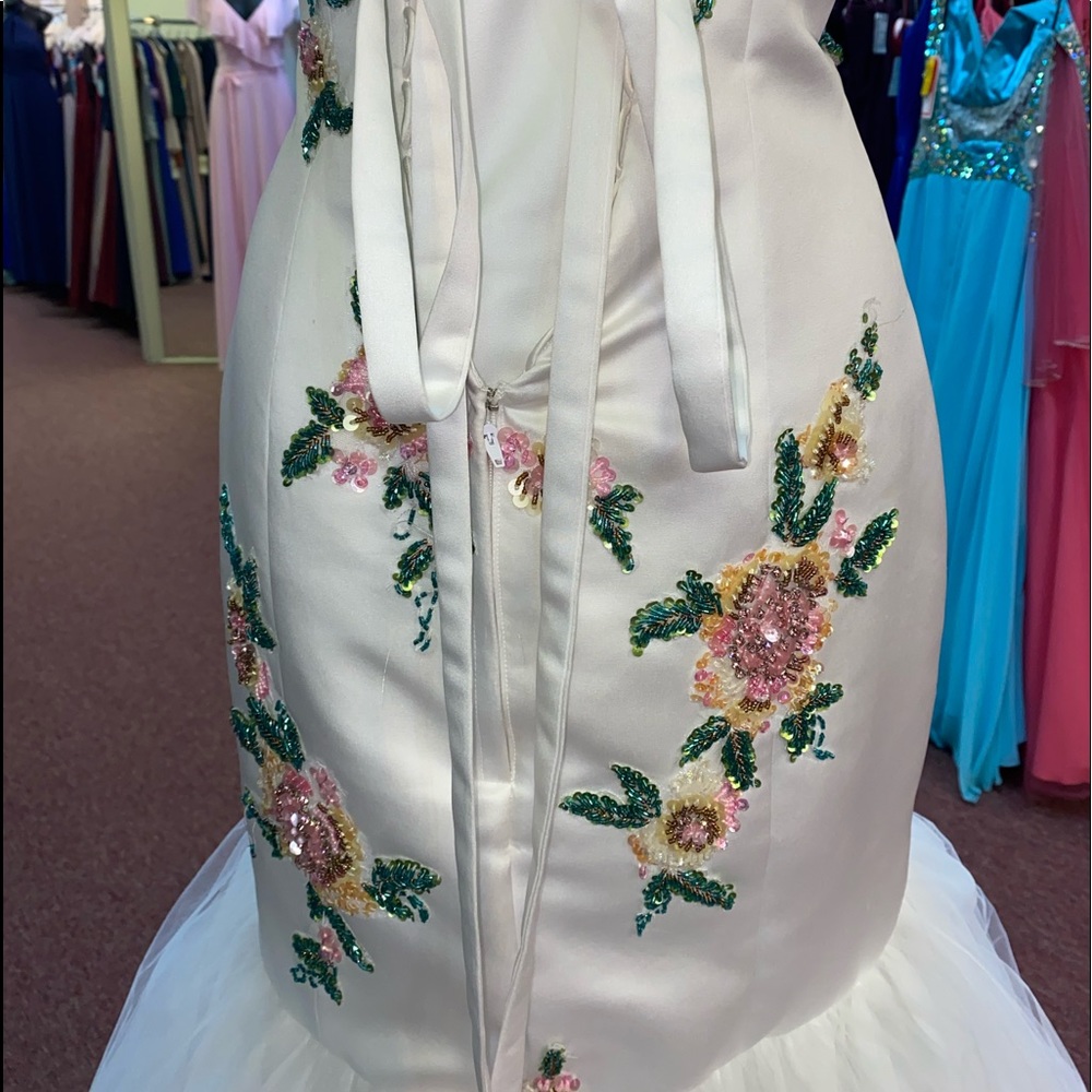 Prom Dress - Picture 5 of 6